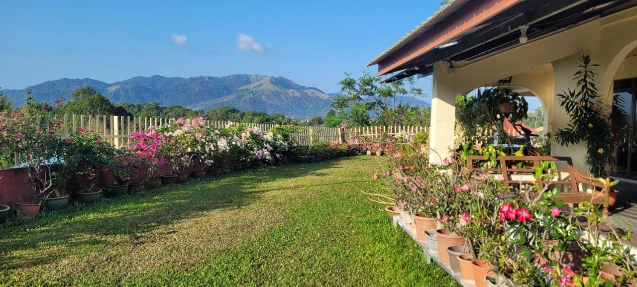 Mountain View Guest House Kb Kota Belud Exteriér fotografie